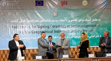 Making its mark – FAO and EU support the development of Afghanistan’s first Geographical Indication System